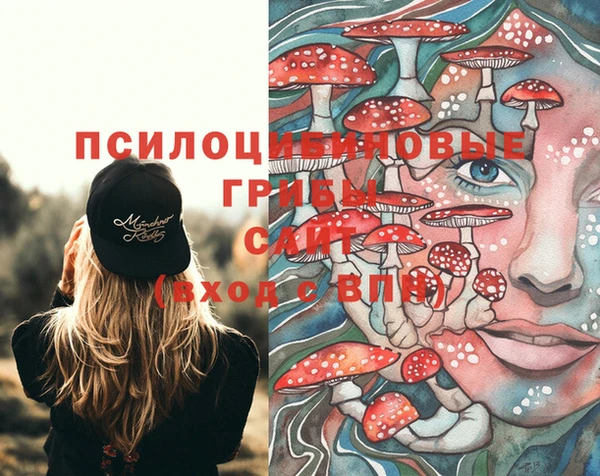 тгк Лагань