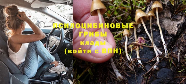 тгк Лагань