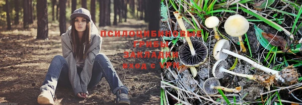 метамфетамин Ладушкин