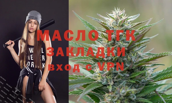 тгк Лагань