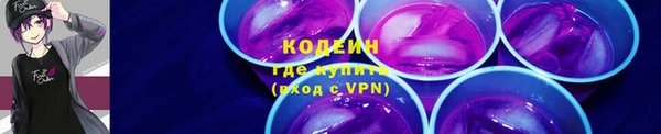 тгк Лагань