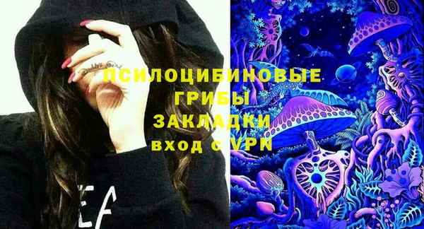 тгк Лагань