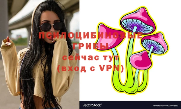 тгк Лагань