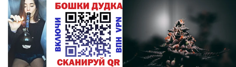 Купить закладки  Змеиногорск  Шишки марихуана план 